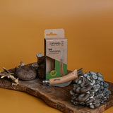 Mushroom Hunter's Knife