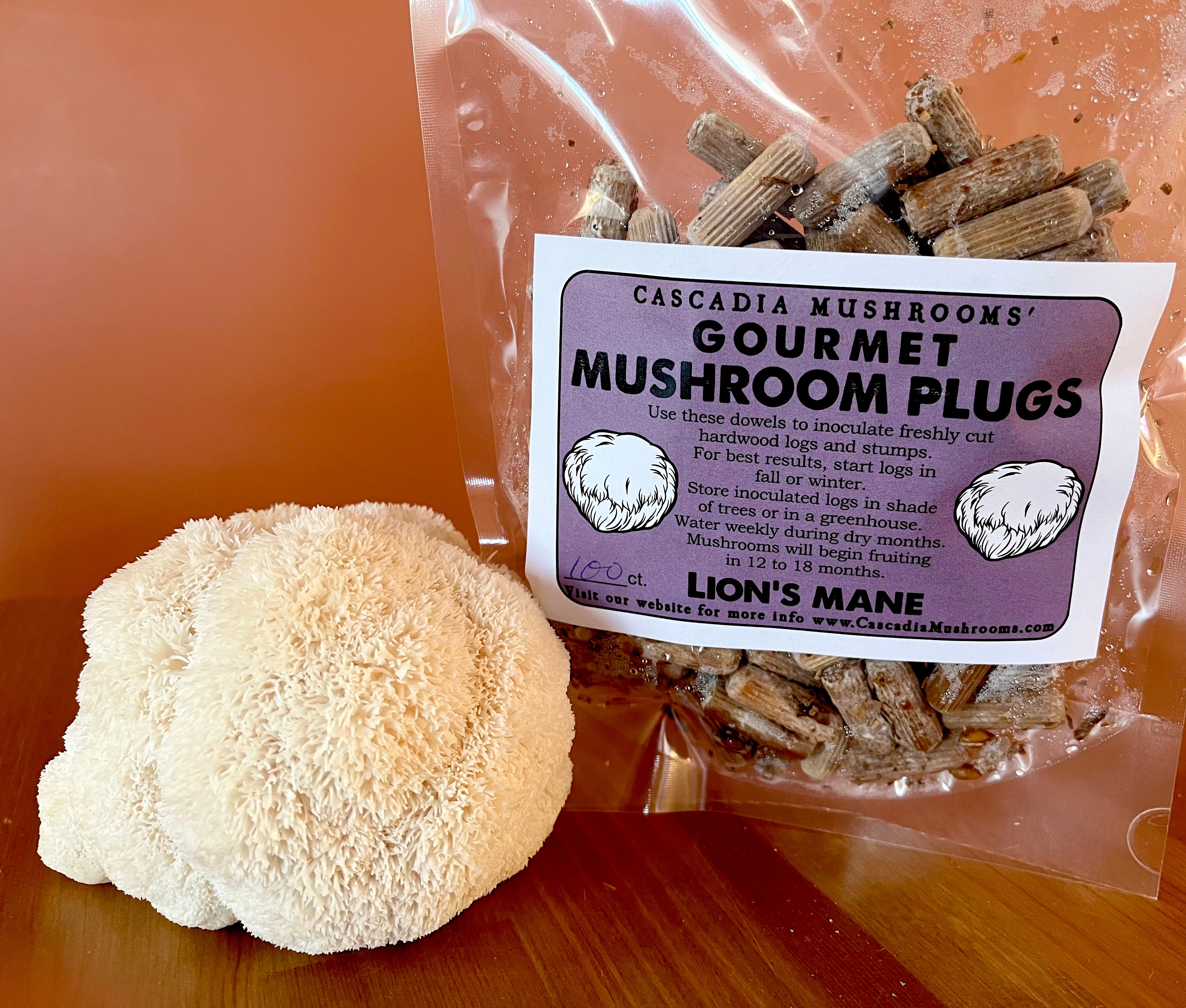 Teglar: shaxsiy porno Katta eshak bilan qora porno