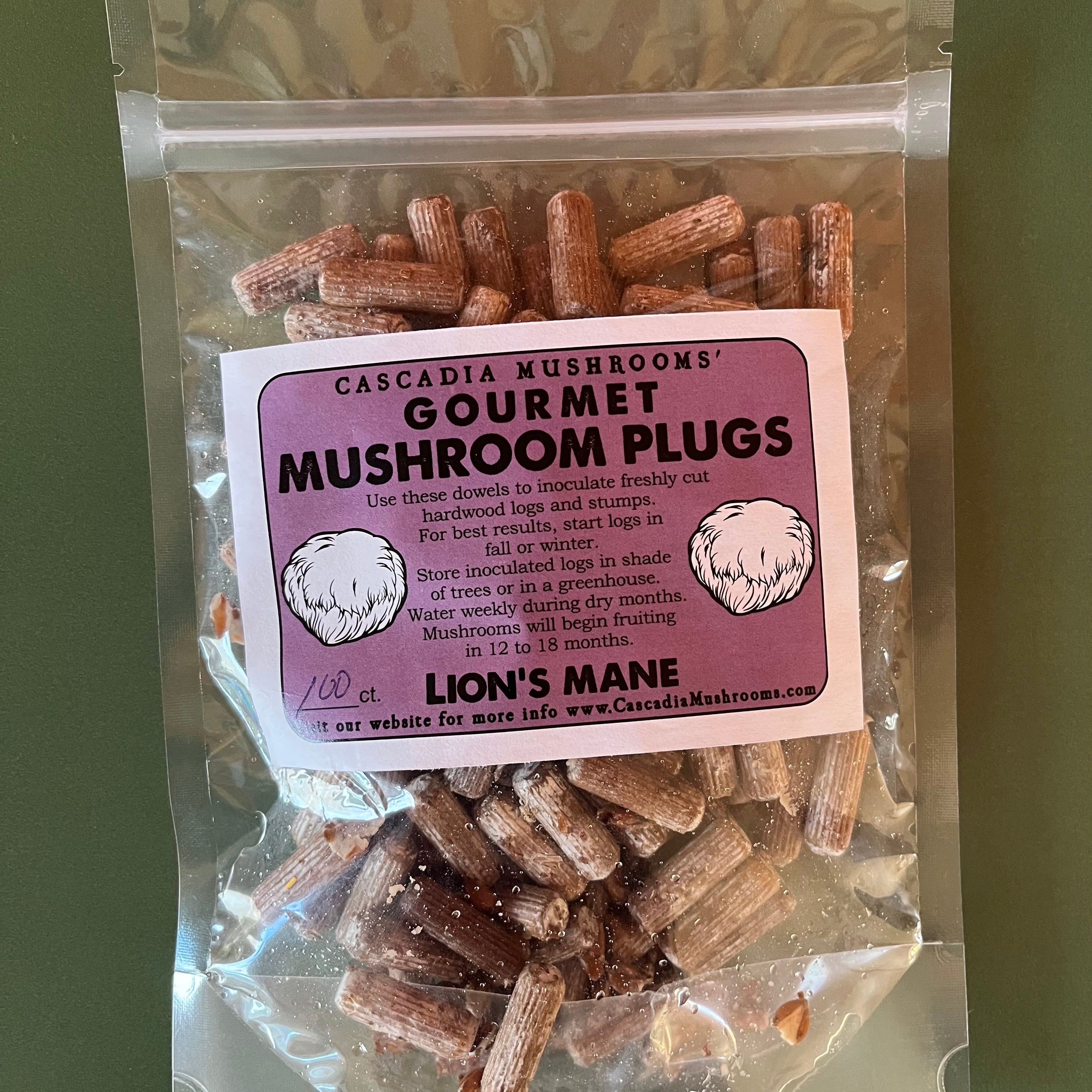 Shiitake Mushroom Plugs | Grow Gourmet Shiitake Mushrooms