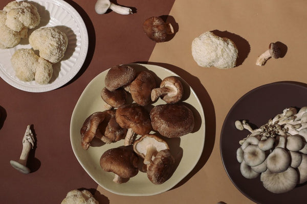GROWING YOUR OWN MUSHROOMS FOR HOLIDAY FEASTS