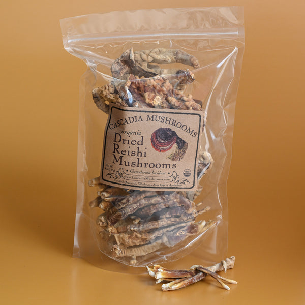 Organic Dried Red Reishi Mushroom