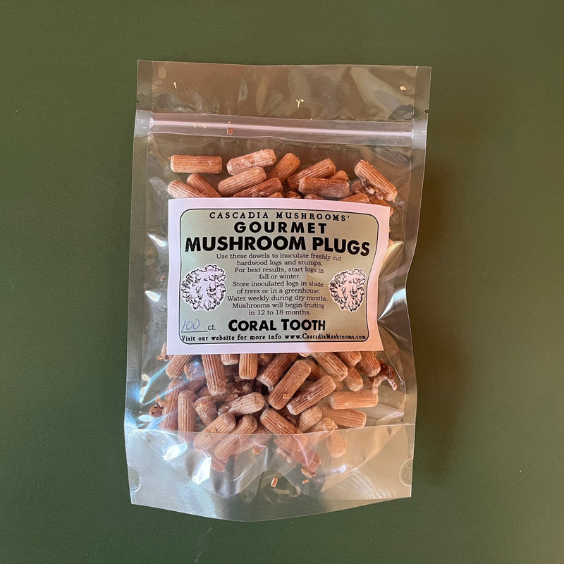 Gourmet Coral tooth Mushroom Plugs