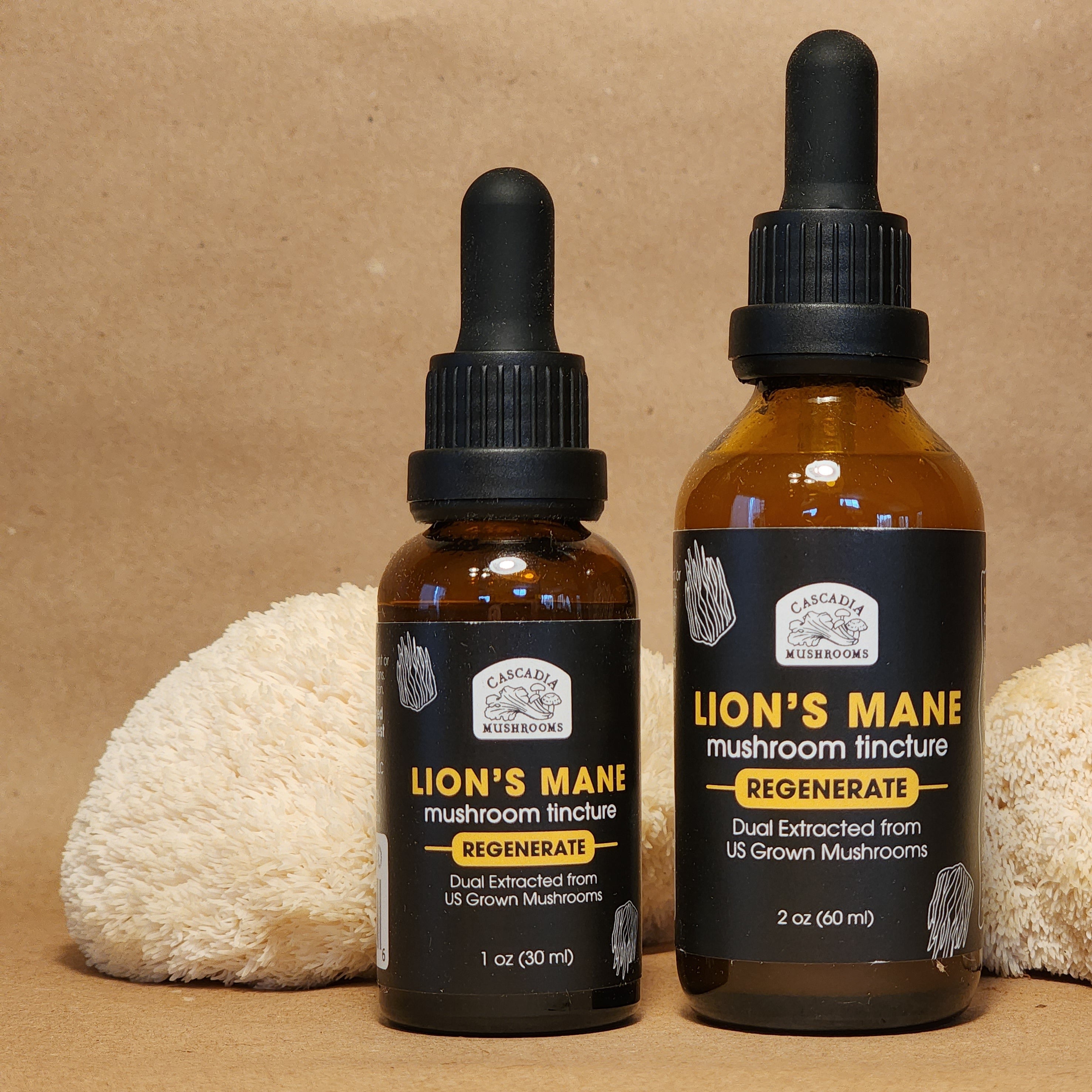 Best Lions Mane Tincture