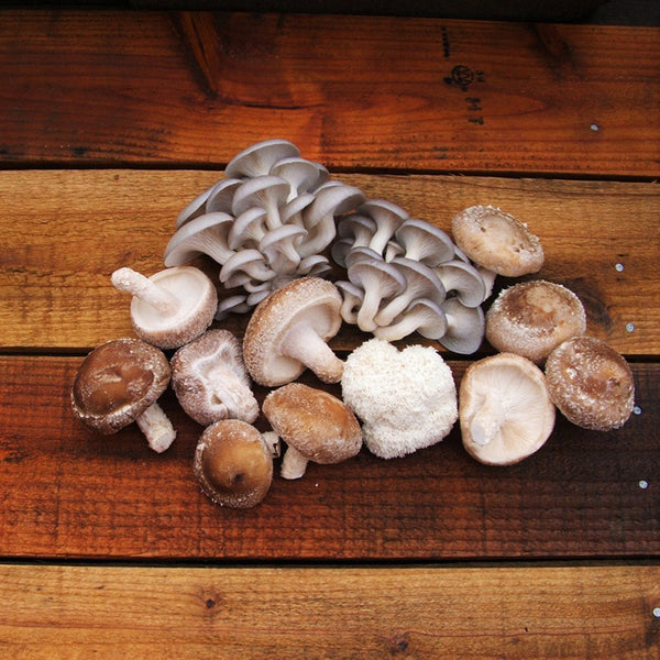 Fresh Organic Mushrooms - 2 lb  Buy Fresh Gourmet Mushrooms