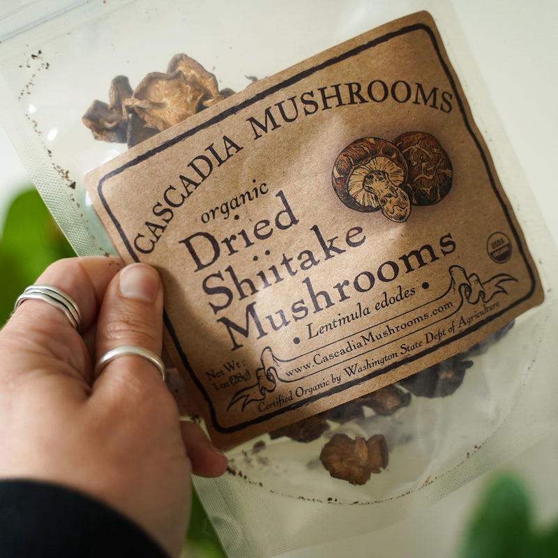 Fresh Organic Shiitake Mushrooms – Northwest Wild Foods
