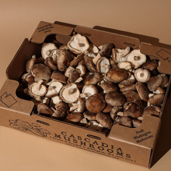 organic fresh shiitake mushrooms