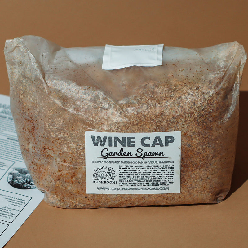 wine cap stropharia mushroom growing kit